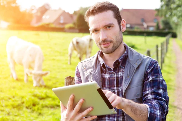 Giovane agricoltore attraente in un campo con mucche — Foto Stock