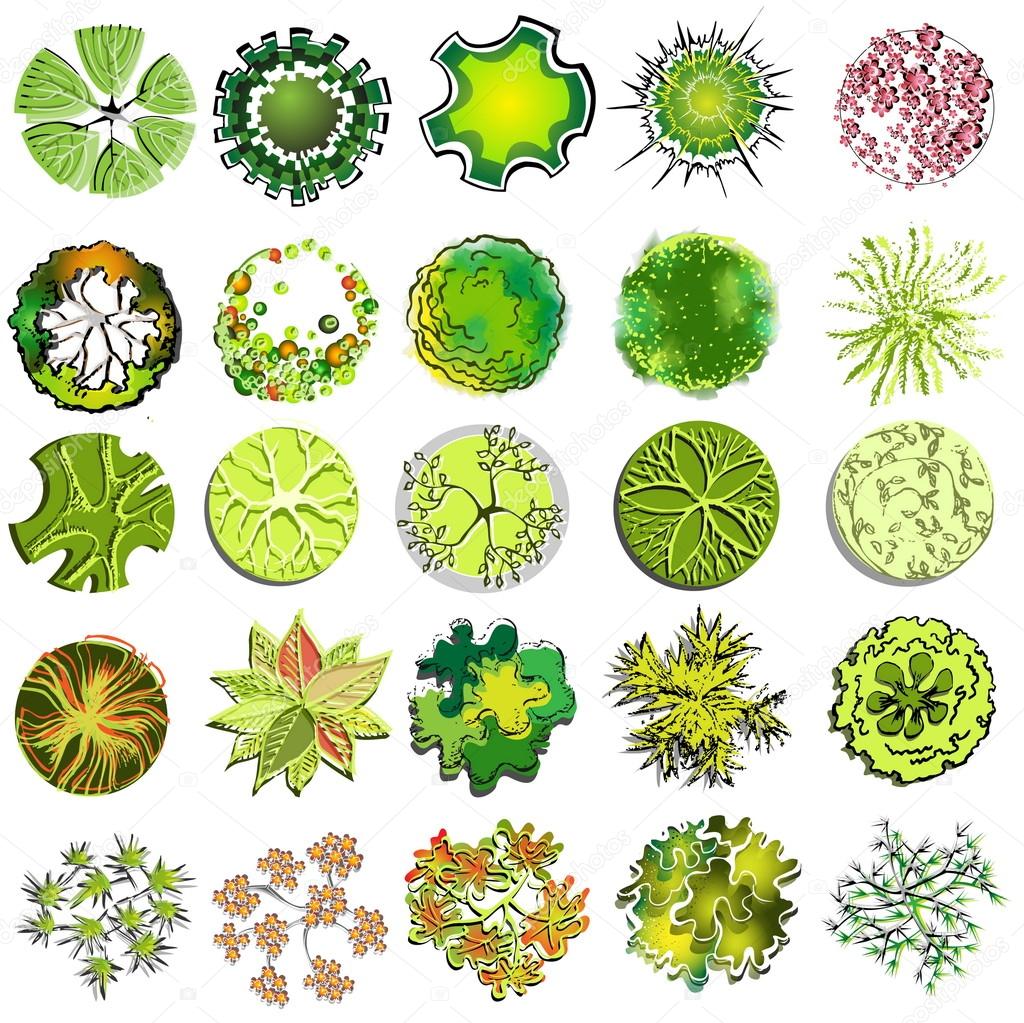 A set of treetop symbols, for architectural or landscape design ... A set of treetop symbols, for architectural or landscape design ...