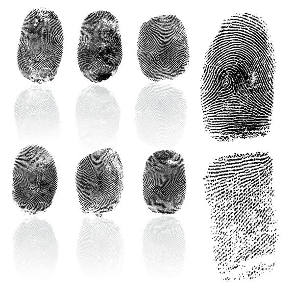 指紋のセットは、ベクトル イラスト — ストックベクタ