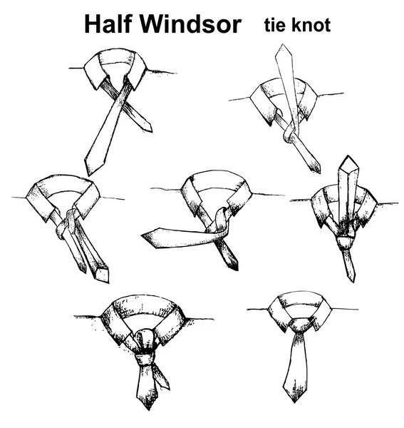 Векторна інструкція краватки і вузла — стоковий вектор
