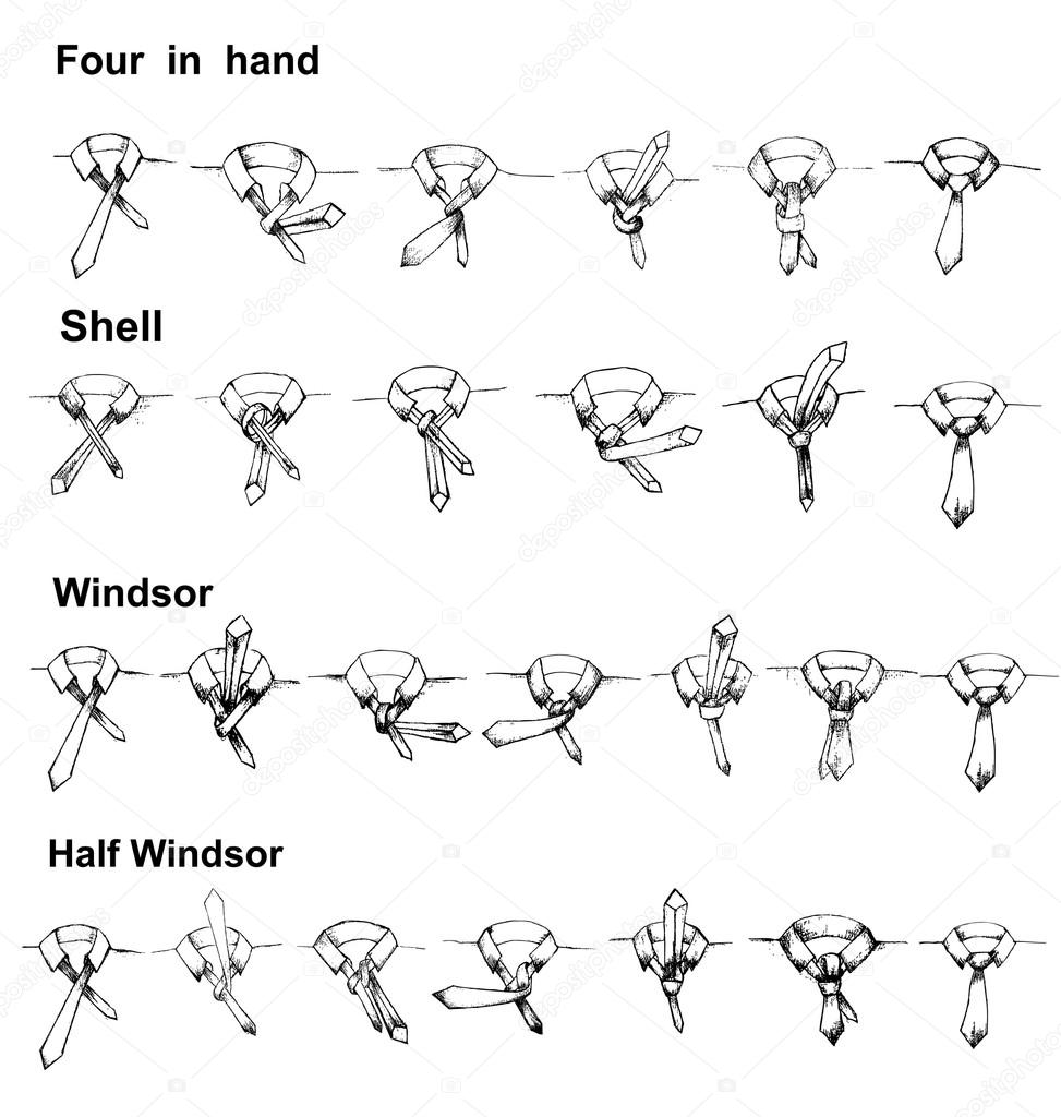 Vector tie and knot instruction
