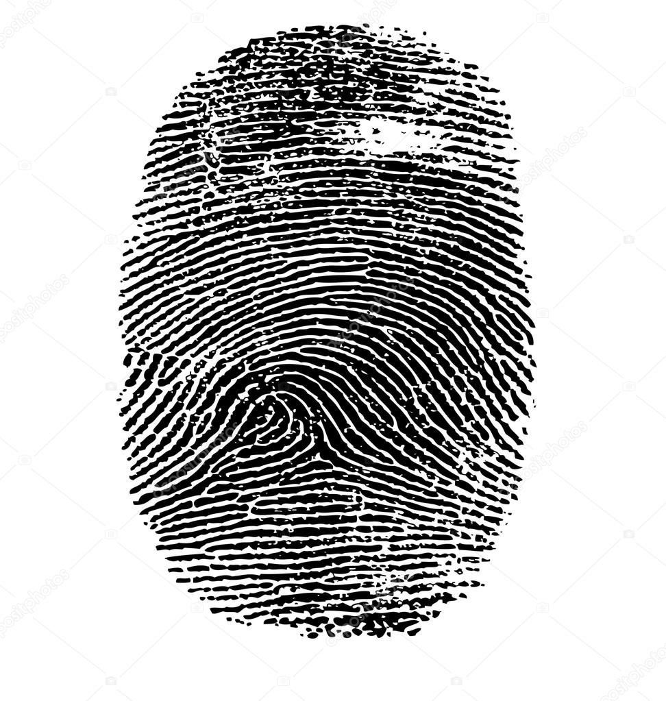Vector illustration of fingerprint 