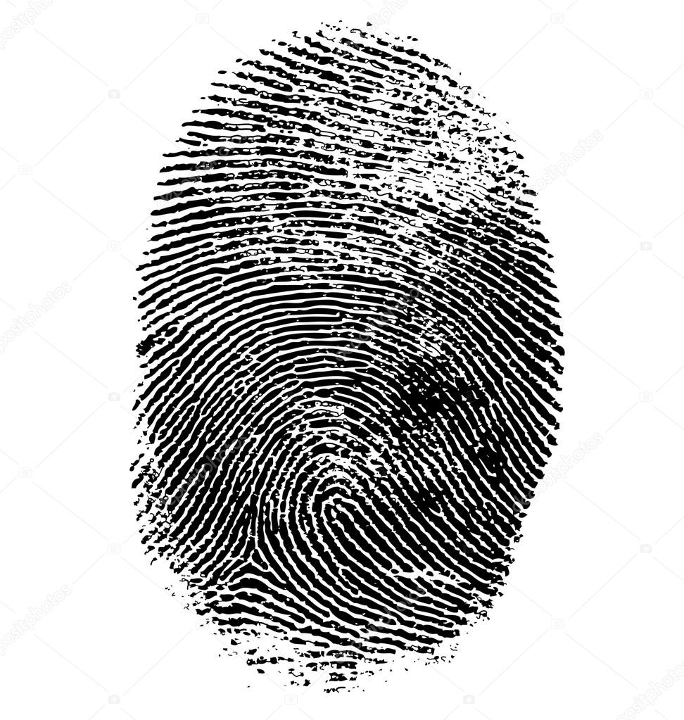 Vector illustration of fingerprint 