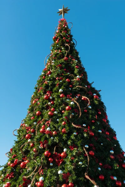 Albero di Natale e cielo — Foto Stock