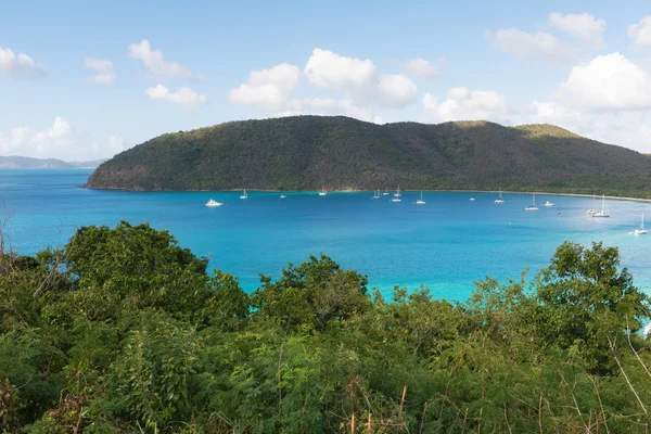 MAHO Bay, Сент-Джон — стокове фото