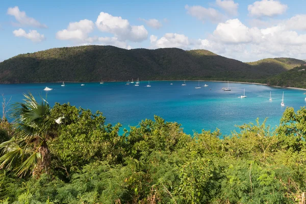 Maho Körfezi, St. John — Stok fotoğraf