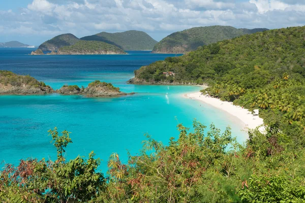 Trunk Bay, St. John — Stock Photo, Image