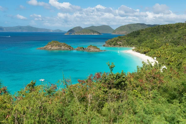 Trunk Bay, St. John — Foto Stock