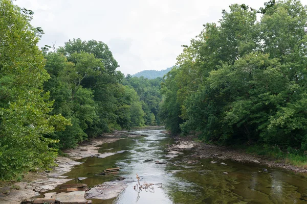 Shavers Fork — Stock Photo, Image