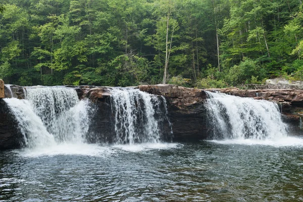 Hohe Fallzahlen — Stockfoto