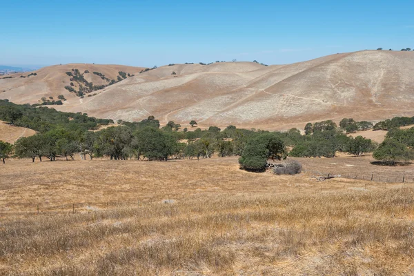 Tepeler — Stok fotoğraf