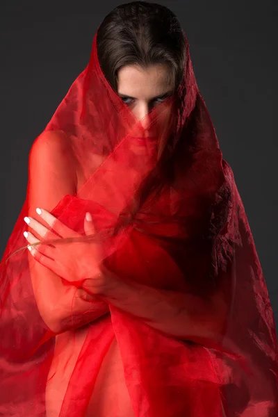 Tule vermelho — Fotografia de Stock