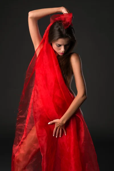 红色薄纱 — 图库照片