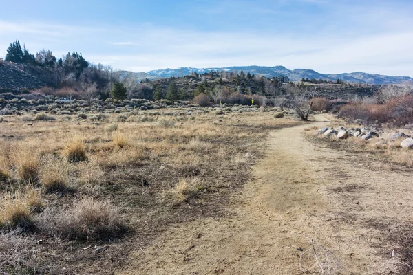 Toprak yol — Stok fotoğraf