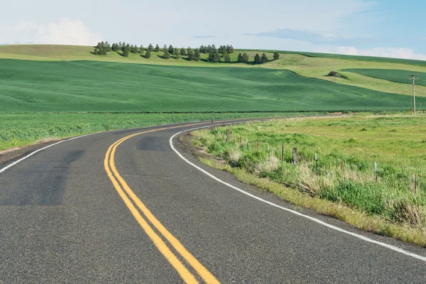 Carretera — Foto de Stock