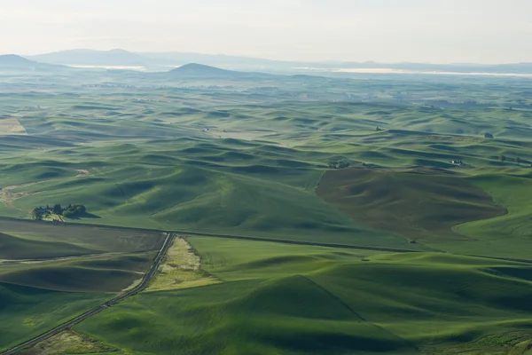 Landbouwgrond — Stockfoto