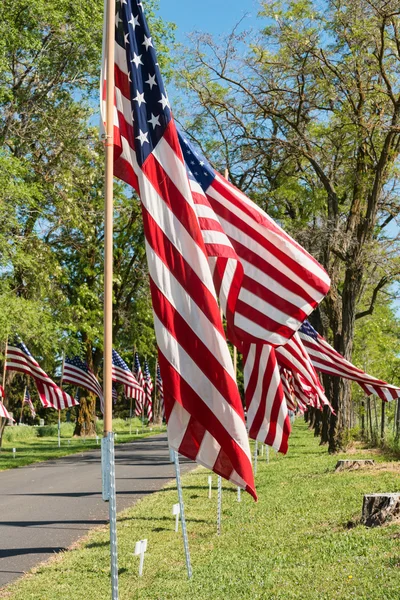 Memorial Day flags — Stock Photo, Image