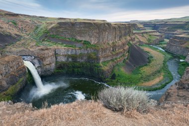 Palouse düşüyor