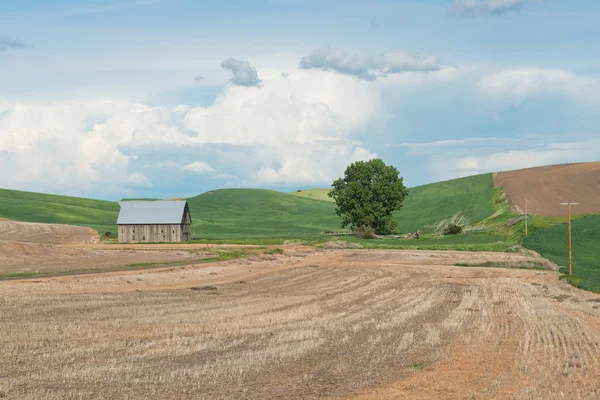 Farm — Stock Photo, Image