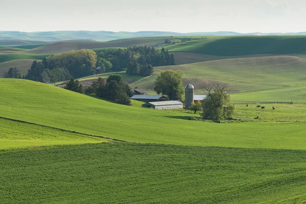 Rolling hills