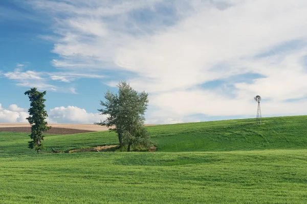 Rolling Hills Przewodniczący — Zdjęcie stockowe