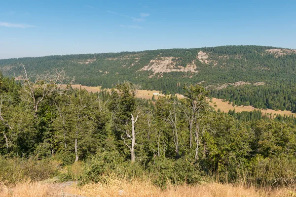 Auswanderungslücke — Stockfoto