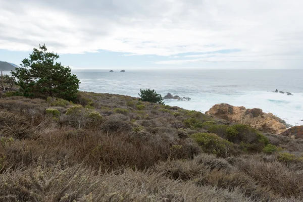 Centraal-Californië kust — Stockfoto