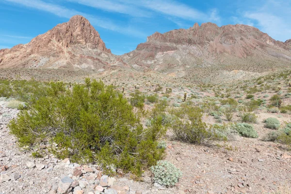 Route 66 Arizona — Stock Photo, Image