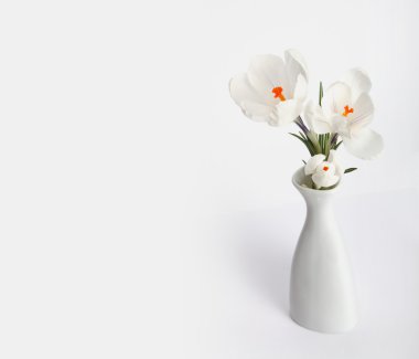 beyaz çiçek buketi 