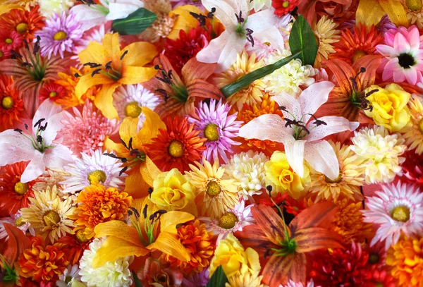 Colore fiore sfondo — Foto Stock