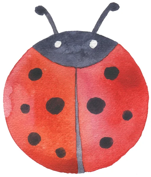 Watercolor hand drawn hand drawn ladybug — Stock Photo, Image