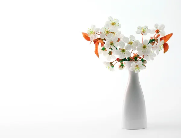 Galho de cereja em flor em vaso — Fotografia de Stock