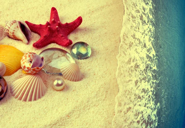 Sea shells on sand beach. Vintage style. — Stock Photo, Image