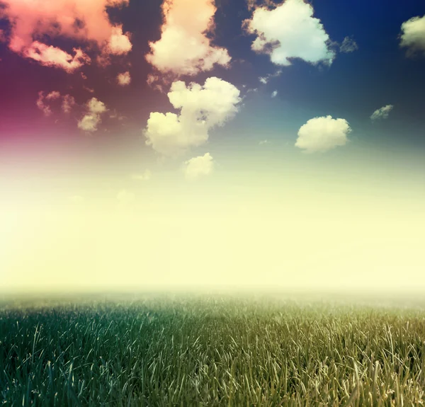 Gras unter blauem Himmel. Jahrgangsstil. — Stockfoto