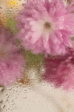 Duman seçildi, nemli su damlalarıyla dolu cam içinden yumuşak odaklı paskalya çiçeği buketi. Soyut doğal bulanık arkaplan.