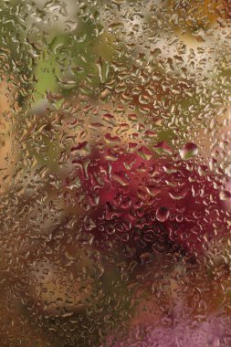 Yakın plan seçici, yumuşak odaklı, bej grisi üzerine beyaz kasımpatı çiçeği buketi tüttür. Doğal sanat tarafsız arkaplanı bulanıklaştırır.