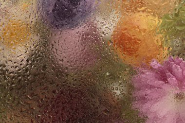 Duman, nemli su damlalarıyla seçilmiş yumuşak odak çiçeği buketi. Soyut doğal bulanık arkaplan.