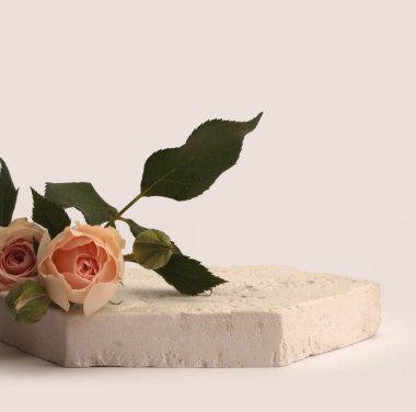 Stones platformu podyumu, gri arka planda bej kremalı gül çiçeği buketi. Ürün sunum sahnesi için en az boş temel.