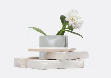 Gri ışıklı fotokopi arkaplanındaki Stonesplatform podyumu ve çiçek. En az boş ürün sunum sahnesi.