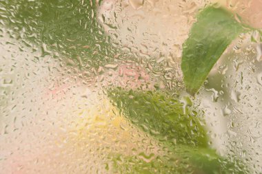 Yumuşak odaklı pembe çiçek yaprakları, ıslak su damlalarıyla dolu yeşil yapraklı buket. Soyut doğal bulanık bej rengi arkaplan.