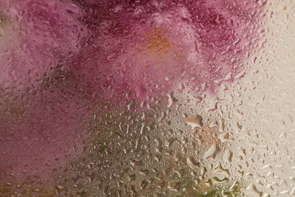 Yumuşak odak çiçeği buketi, su damlalarıyla dolu cam yapraklar. Soyut doğal bulanık pembe, bej arkaplan.