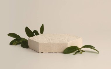 Hafif arka planda yaprağı olan taş platform podyumu. En az boş ürün sunum sahnesi.