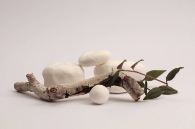 White Stones platform podyumu, yapraklar filiz, bej gri doğal arka planda ahşap dal. En az boş ürün sunum sahnesi.