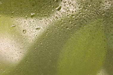 Yumuşak odak Yeşil Yaprak Yaprak Yaprağı ıslak su damlaları ile cam aracılığıyla. Soyut doğa bulanık arkaplan.