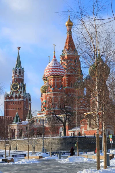 2021年的一个寒冷的日子里 巴西尔主教座堂和莫斯科克里姆林宫的Spasskaya塔 — 图库照片