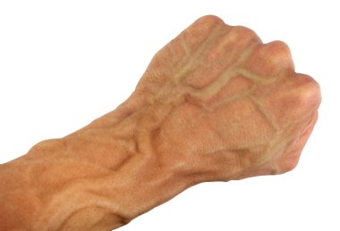 human fist and wrist with swollen vein, isolated clipart