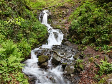 hareket ile yeşil orman şelale bulanıklık etkisi