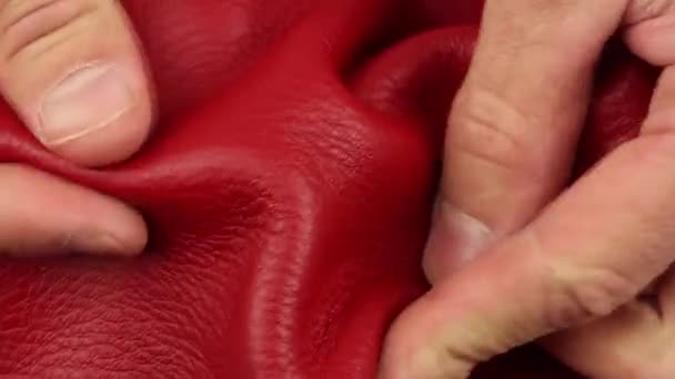 Närbild Mänskliga Fingrar Kontrollera Kvalitet Och Testning Rött Naturligt Mjukt — Stockvideo