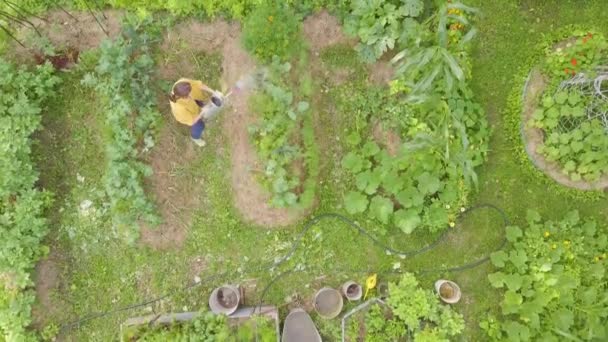 아이들은 정원에 채소들이 물동이에서 수있고 정원에서의 공중에서의 굶주림을 피하기 식량을 — 비디오