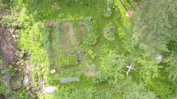 Aerial View Seasonal Works Garden Backyard Eco Bio Gardening Growing — Stock Video